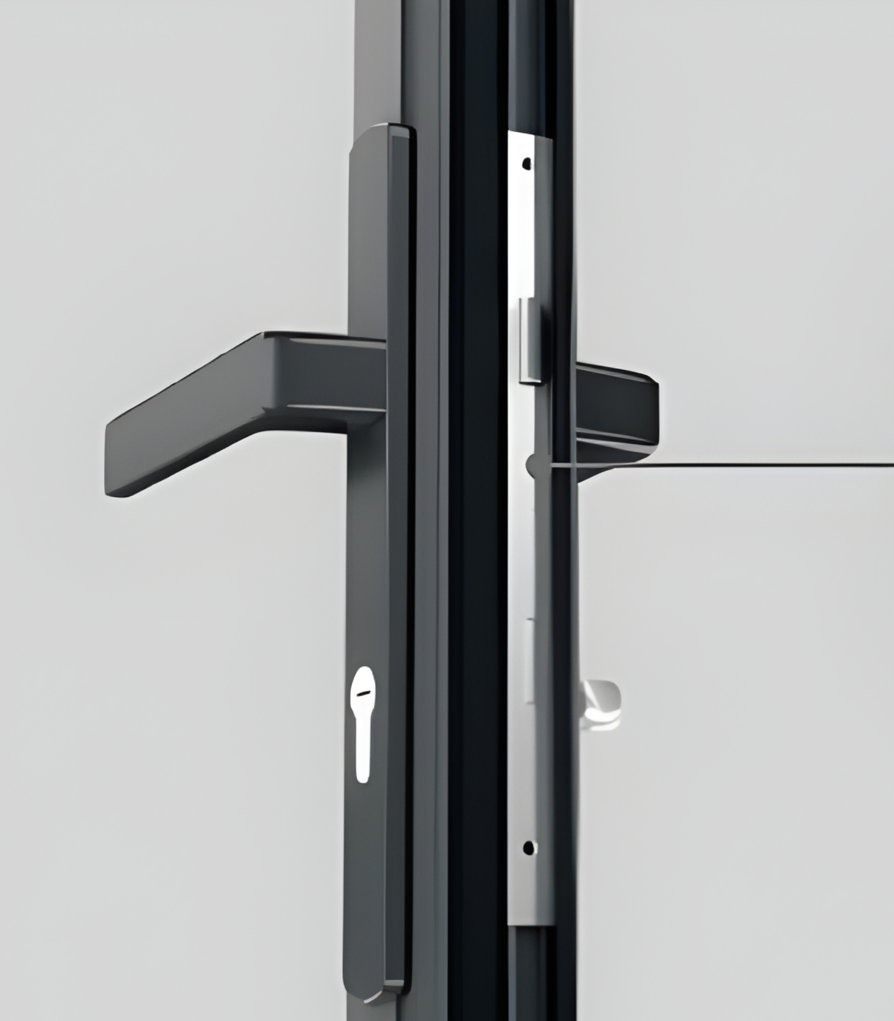 VLX 100 Swing / Entry Door in Oakland Park, FL | TruePane Windows & Doors - detail 5